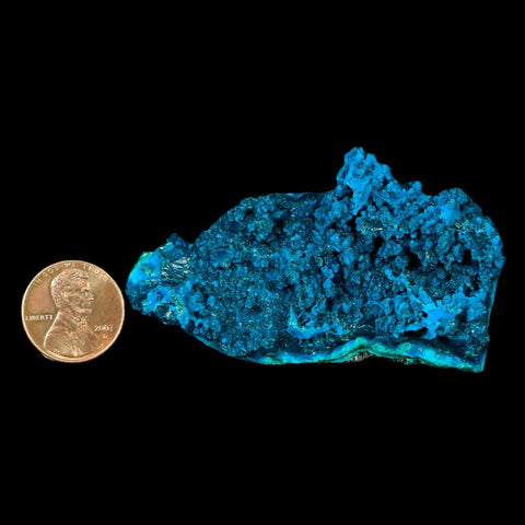 2.7" Chrysocolla Malachite Rare Botryoidal Grape Crystal Teal And Green From Peru - Fossil Age Minerals