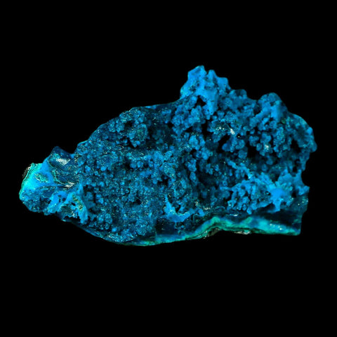 2.7" Chrysocolla Malachite Rare Botryoidal Grape Crystal Teal And Green From Peru - Fossil Age Minerals