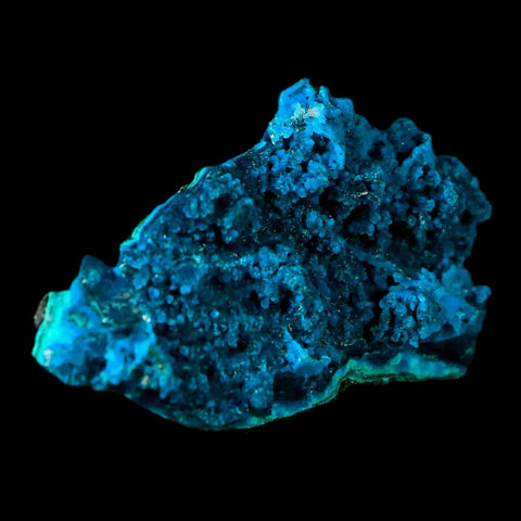 2.7" Chrysocolla Malachite Rare Botryoidal Grape Crystal Teal And Green From Peru - Fossil Age Minerals