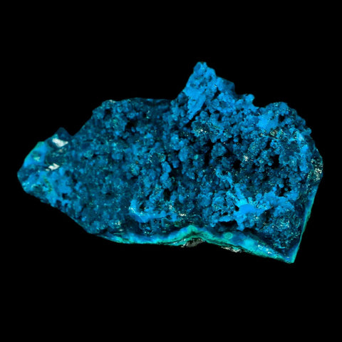 2.7" Chrysocolla Malachite Rare Botryoidal Grape Crystal Teal And Green From Peru - Fossil Age Minerals