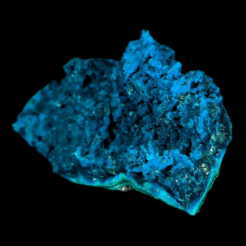 2.7" Chrysocolla Malachite Rare Botryoidal Grape Crystal Teal And Green From Peru - Fossil Age Minerals