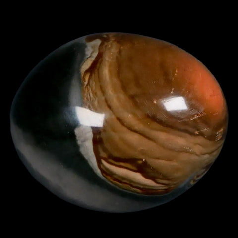 2.2" Polychrome Jasper Natural Polished Mineral Palm Stone Madagascar - Fossil Age Minerals