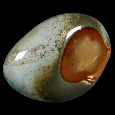 2.3" Polychrome Jasper Natural Polished Mineral Palm Stone Madagascar - Fossil Age Minerals