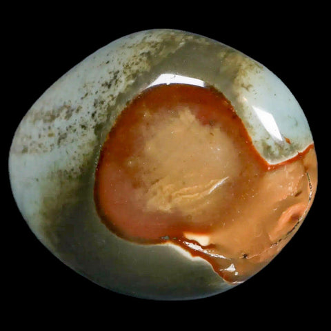 2.3" Polychrome Jasper Natural Polished Mineral Palm Stone Madagascar - Fossil Age Minerals