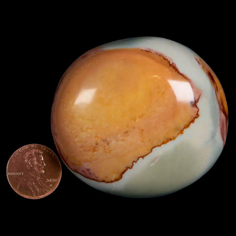 2.3" Polychrome Jasper Natural Polished Mineral Palm Stone Madagascar - Fossil Age Minerals