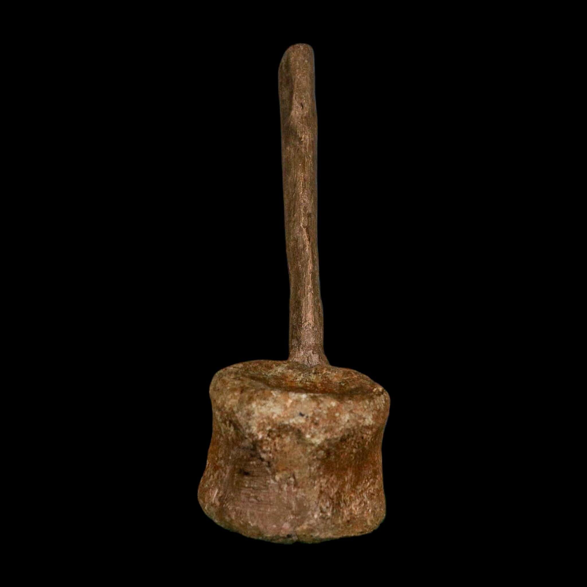 6.6" Edmontosaurus Fossil Vertebrae Hell Creek FM Cretaceous Dinosaur MT COA Stand - Fossil Age Minerals