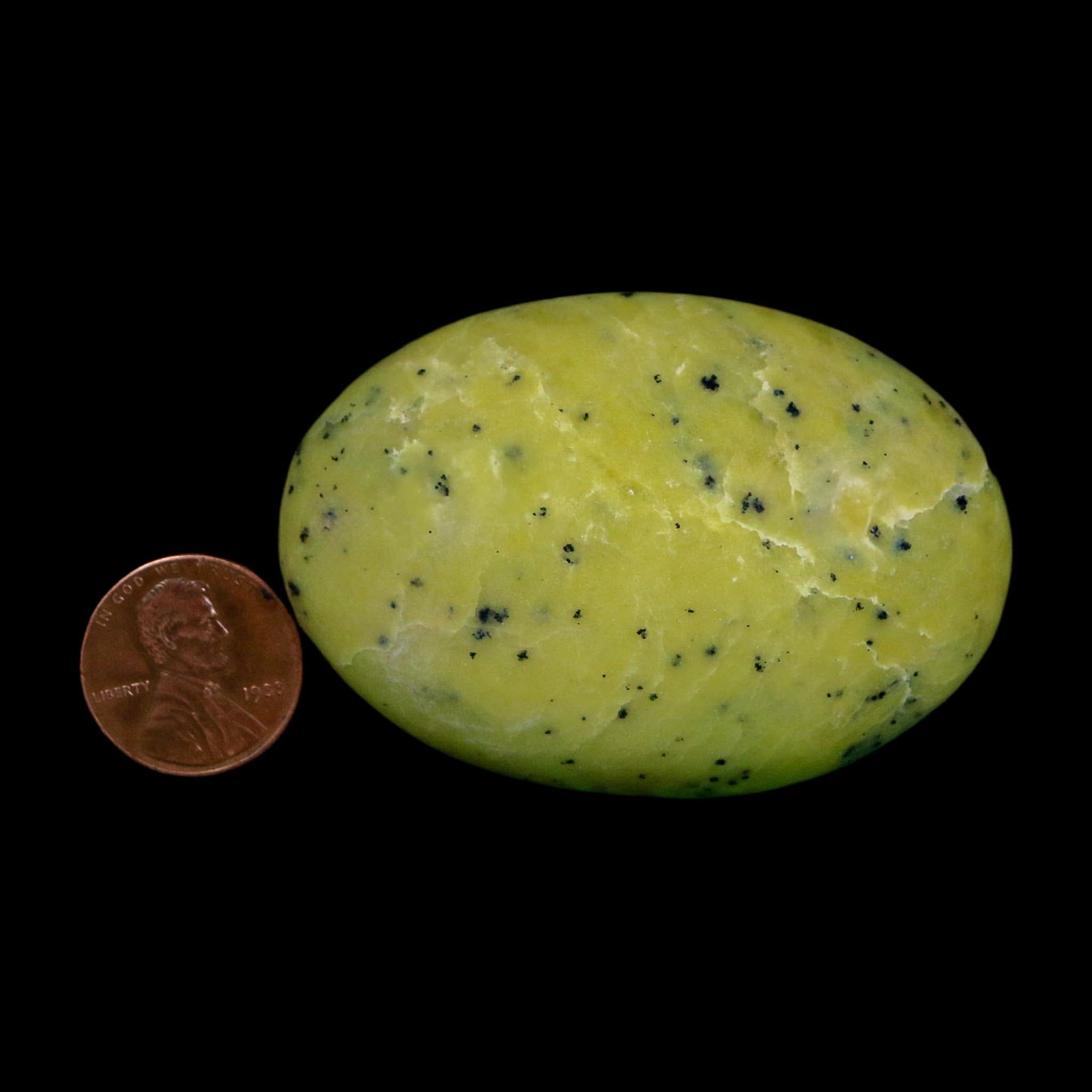 2.4" Natural Polished Serpentine Green And Yellow Palm Stone Mineral Gemstone Pakistan - Fossil Age Minerals