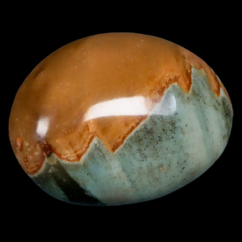 1.9" Polychrome Jasper Natural Polished Mineral Palm Stone Madagascar - Fossil Age Minerals