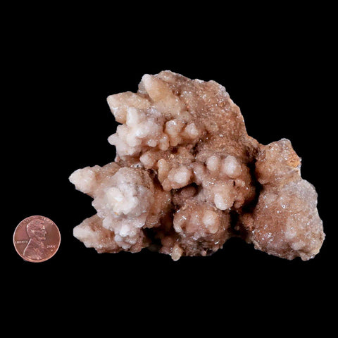 4.1" Aragonite Cave Calcite Crystal Cluster Mineral Specimen  Morocco - Fossil Age Minerals