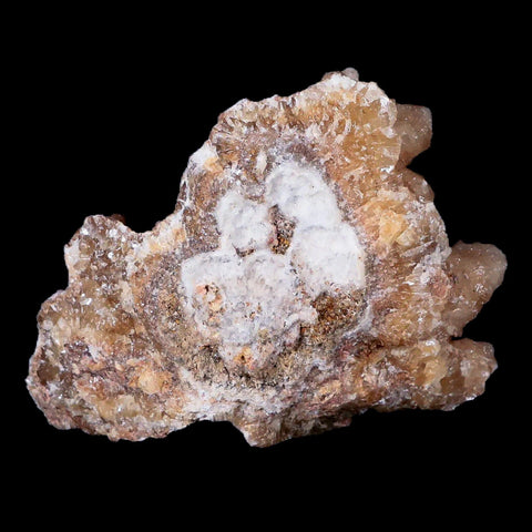 4.1" Aragonite Cave Calcite Crystal Cluster Mineral Specimen  Morocco - Fossil Age Minerals