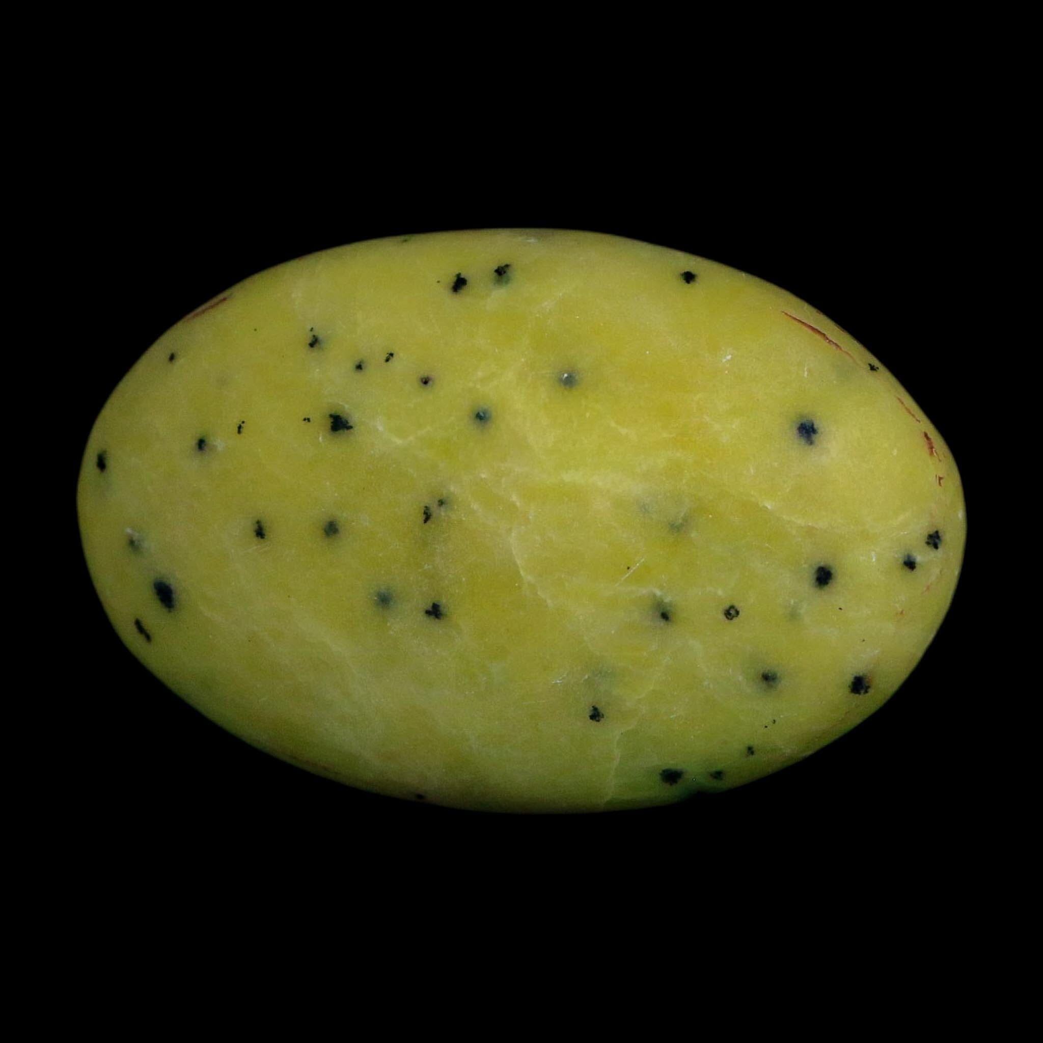 2.4" Natural Polished Serpentine Green And Yellow Palm Stone Mineral Gemstone Pakistan - Fossil Age Minerals