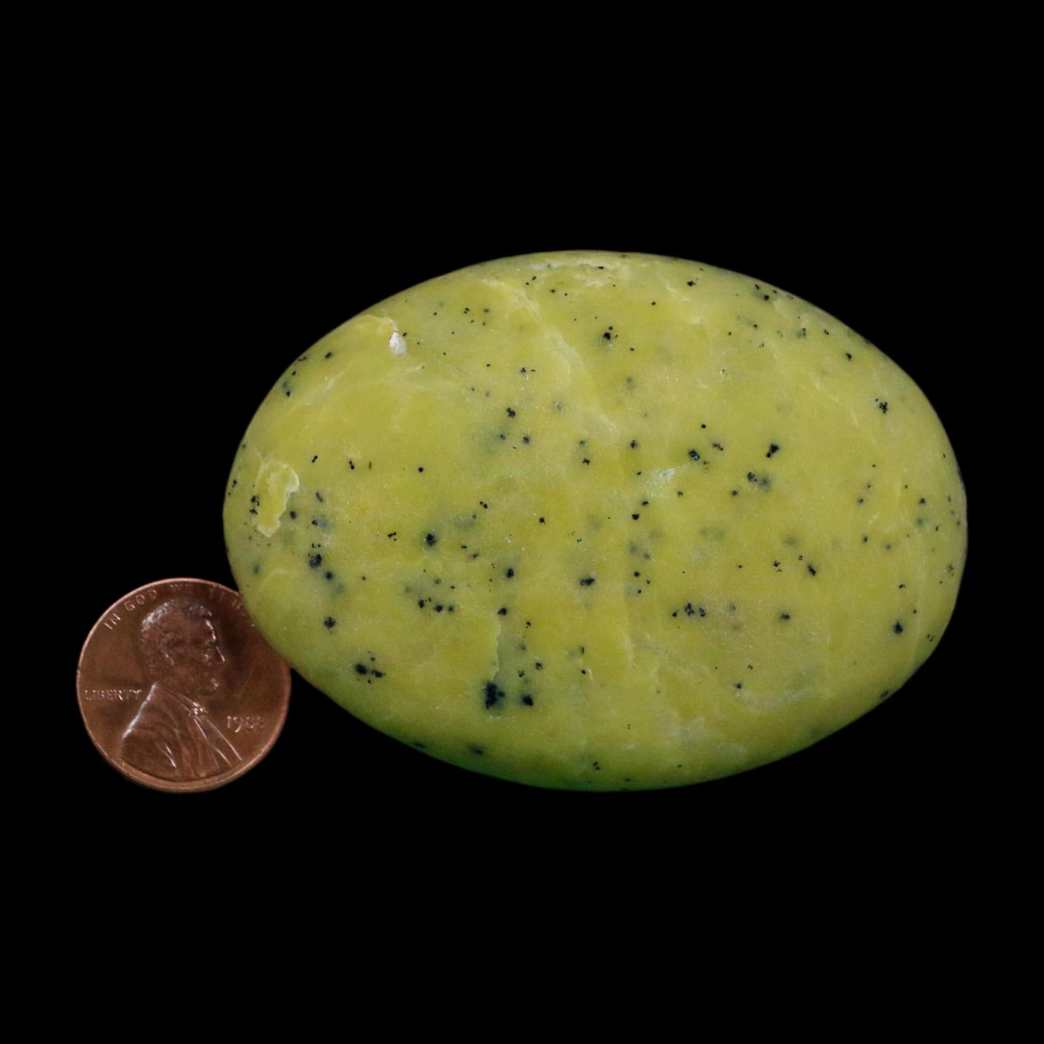 2.5" Natural Polished Serpentine Green And Yellow Palm Stone Mineral Gemstone Pakistan - Fossil Age Minerals