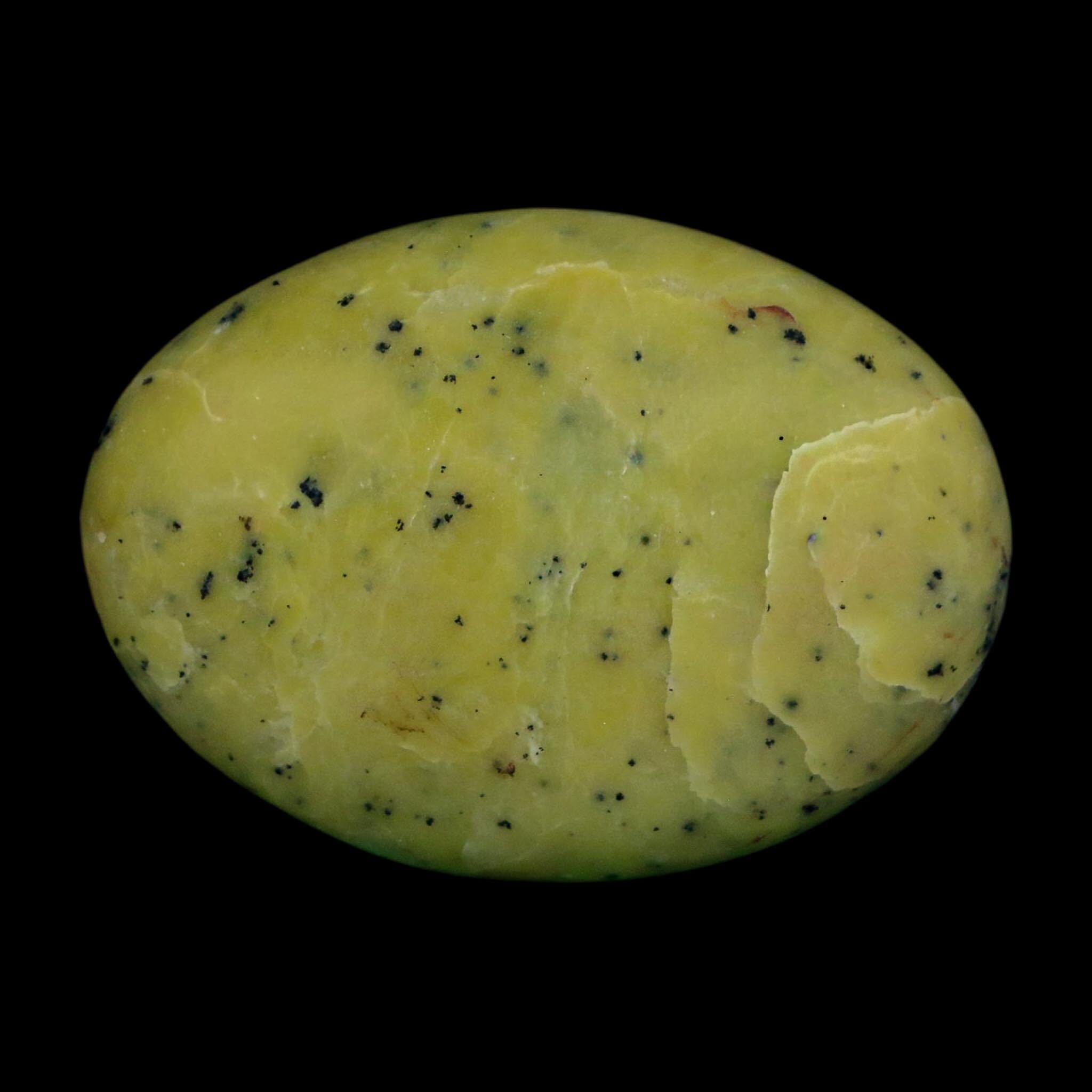 2.5" Natural Polished Serpentine Green And Yellow Palm Stone Mineral Gemstone Pakistan - Fossil Age Minerals