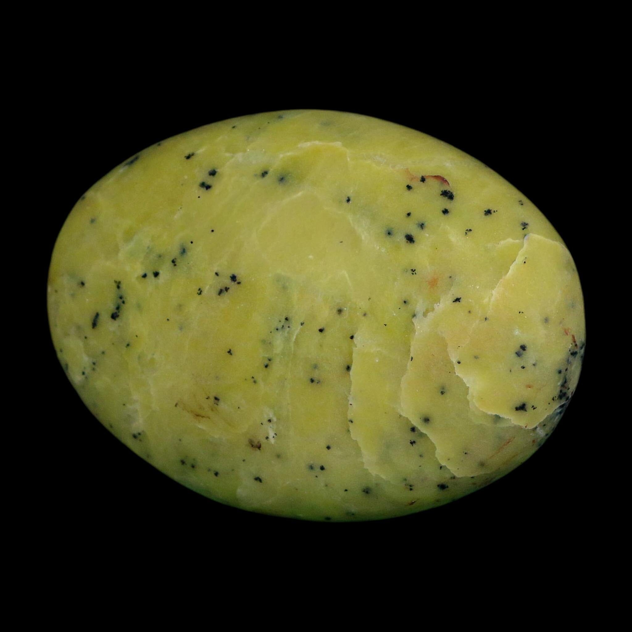 2.5" Natural Polished Serpentine Green And Yellow Palm Stone Mineral Gemstone Pakistan - Fossil Age Minerals