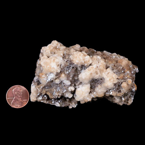 3.3" Aragonite Cave Calcite Crystal Cluster Mineral Specimen Morocco - Fossil Age Minerals