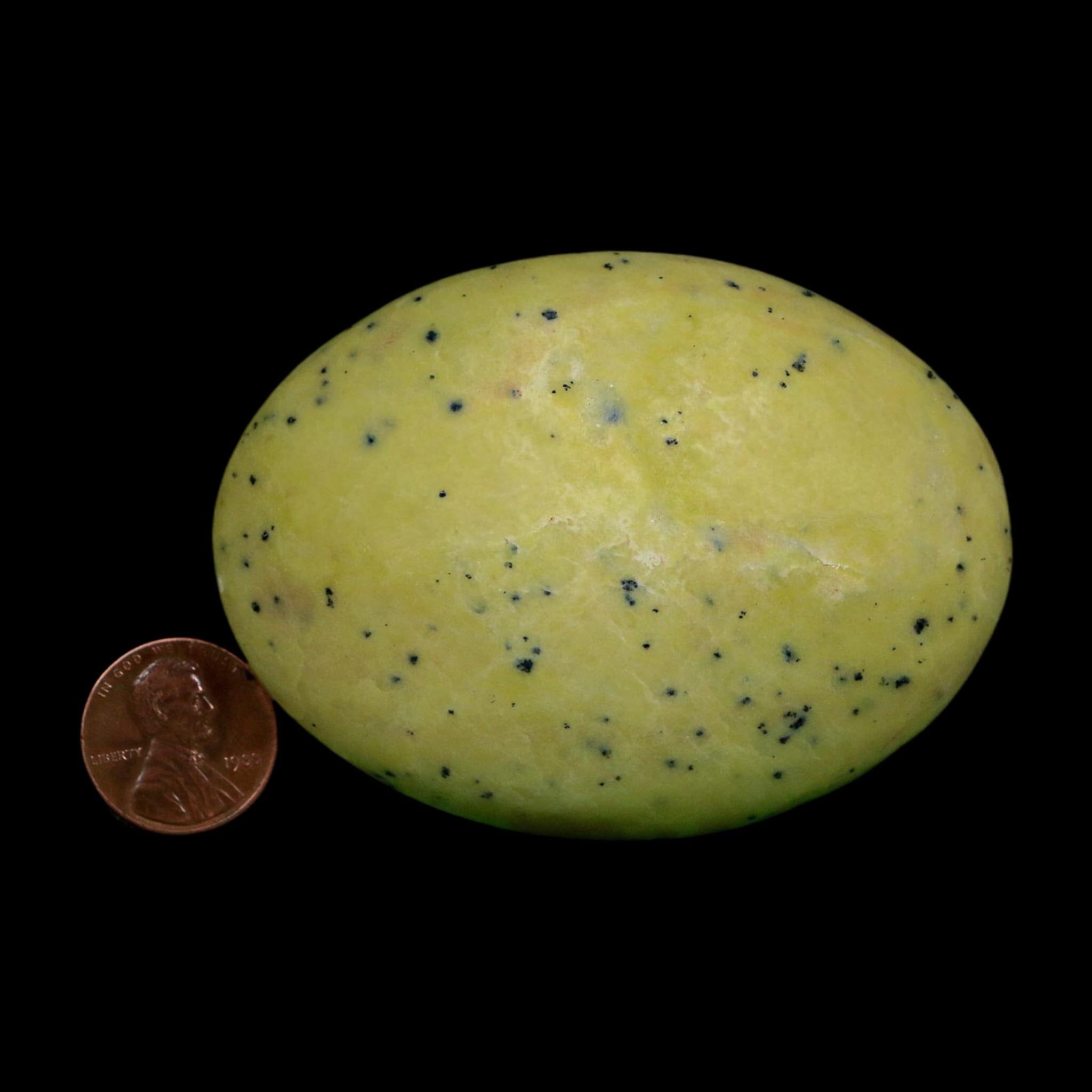 2.9" Natural Polished Serpentine Green And Yellow Palm Stone Mineral Gemstone Pakistan - Fossil Age Minerals