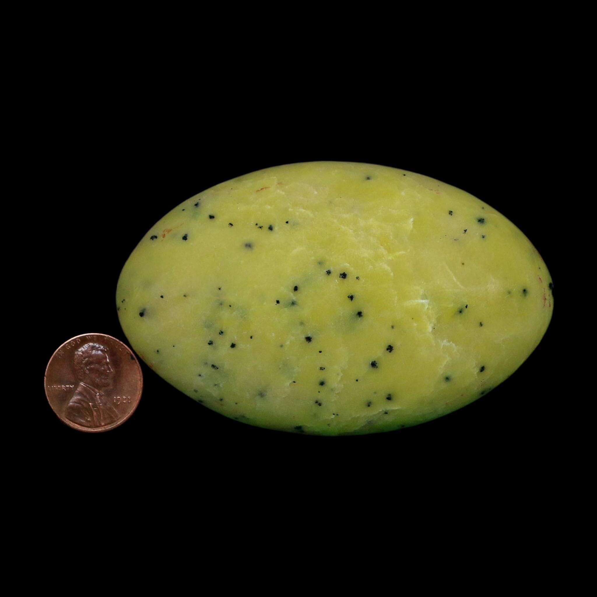 3.2" Natural Polished Serpentine Green And Yellow Palm Stone Mineral Gemstone Pakistan - Fossil Age Minerals