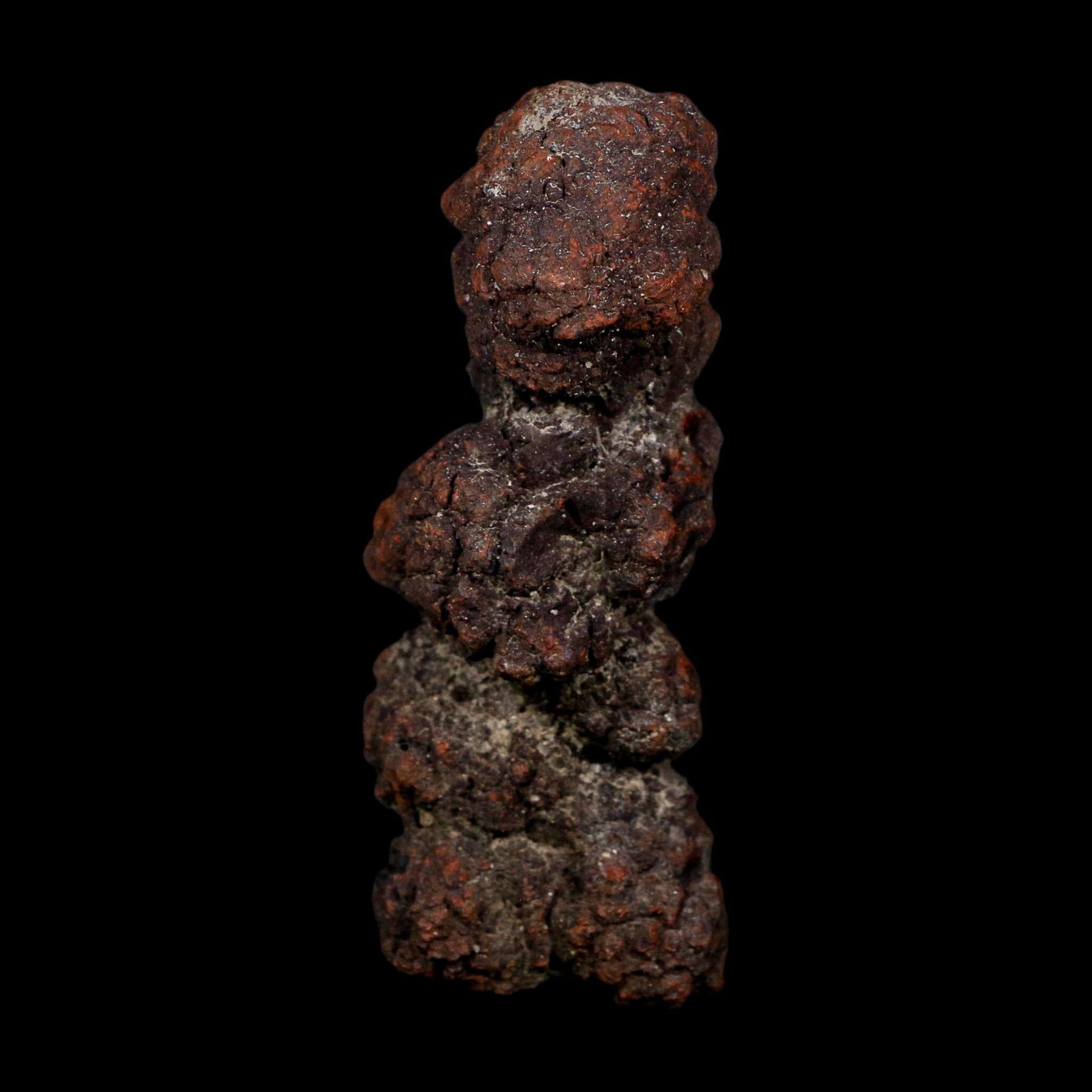 3.3" Prehistoric Coprolite Fossil Specimen Poop Dung Miocene Age Madagascar COA - Fossil Age Minerals
