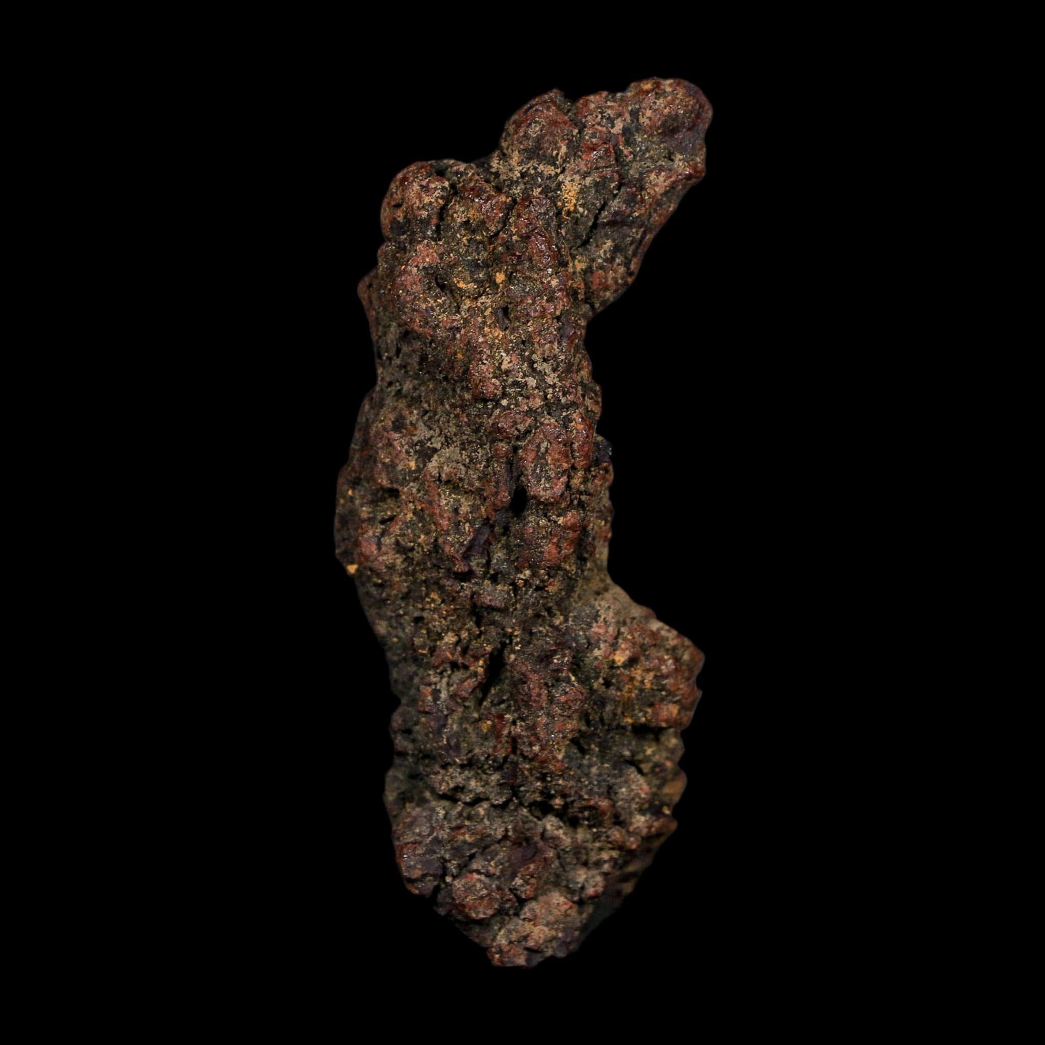 2.9" Prehistoric Coprolite Fossil Specimen Poop Dung Miocene Age Madagascar COA - Fossil Age Minerals