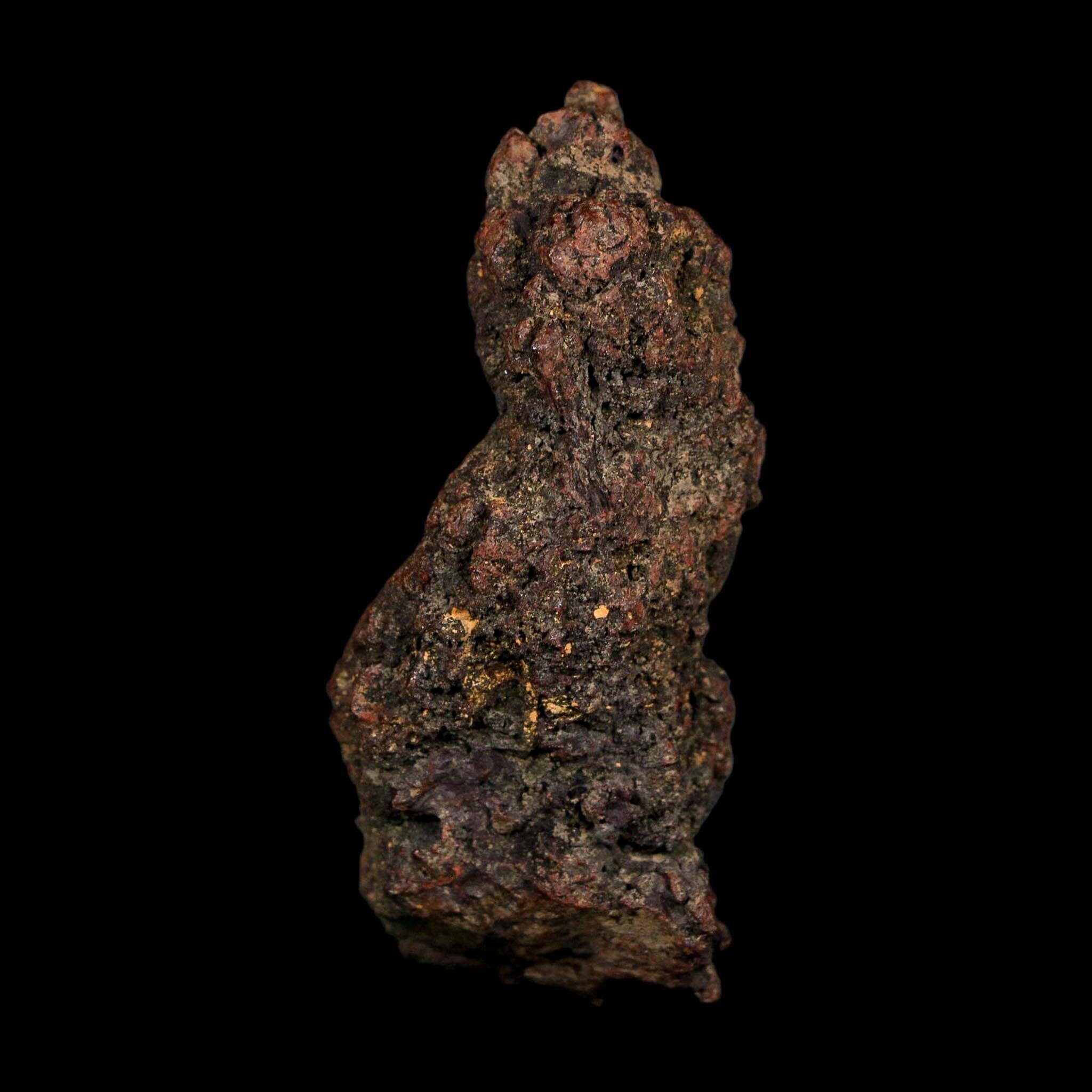2.9" Prehistoric Coprolite Fossil Specimen Poop Dung Miocene Age Madagascar COA - Fossil Age Minerals