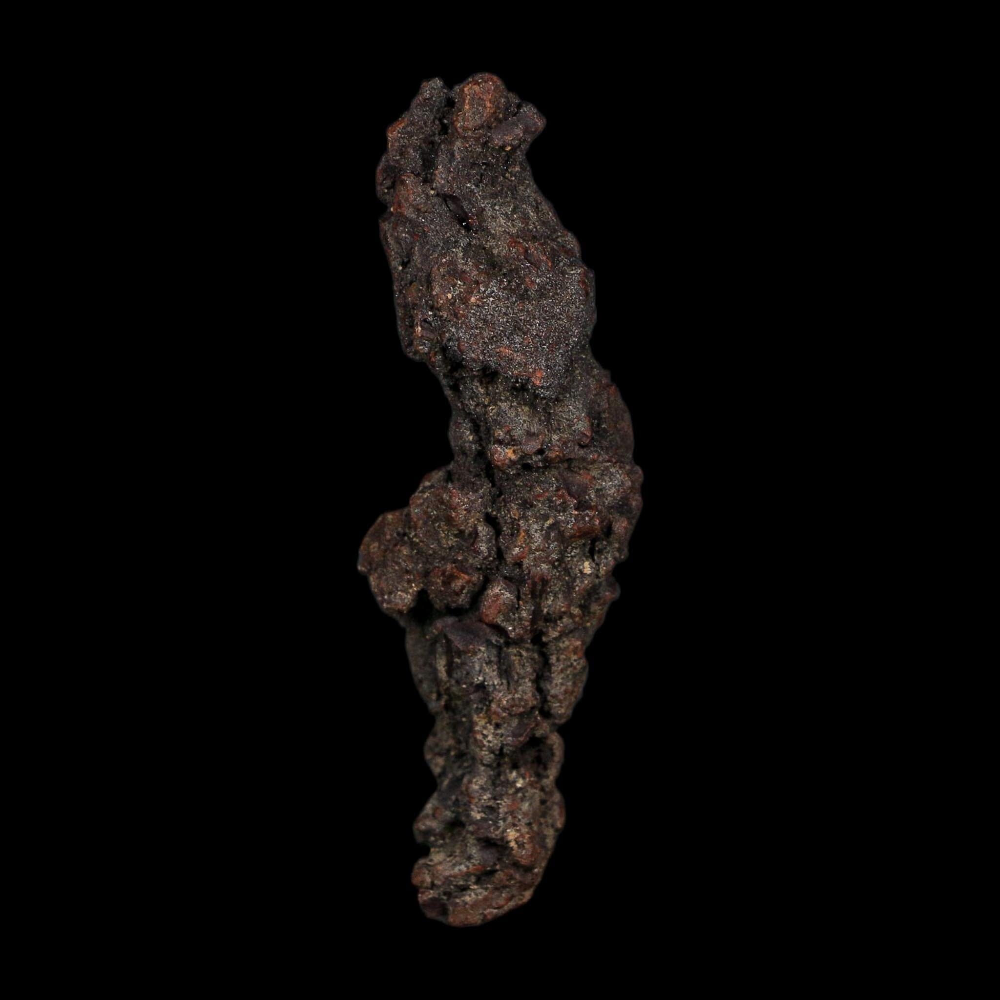 3.2" Prehistoric Coprolite Fossil Specimen Poop Dung Miocene Age Madagascar COA - Fossil Age Minerals