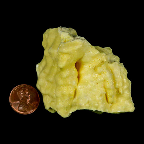 2.2" Rough Bright Yellow Sulfur Crystal Mineral Specimen From Louisiana - Fossil Age Minerals