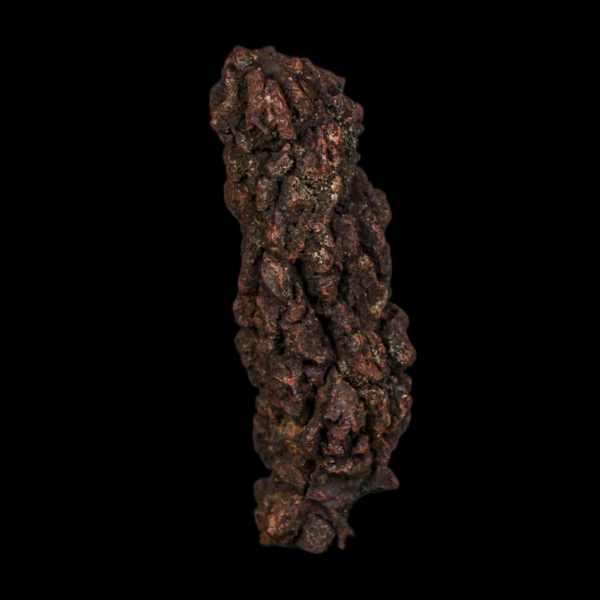 3.5" Prehistoric Coprolite Fossil Specimen Poop Dung Miocene Age Madagascar COA - Fossil Age Minerals