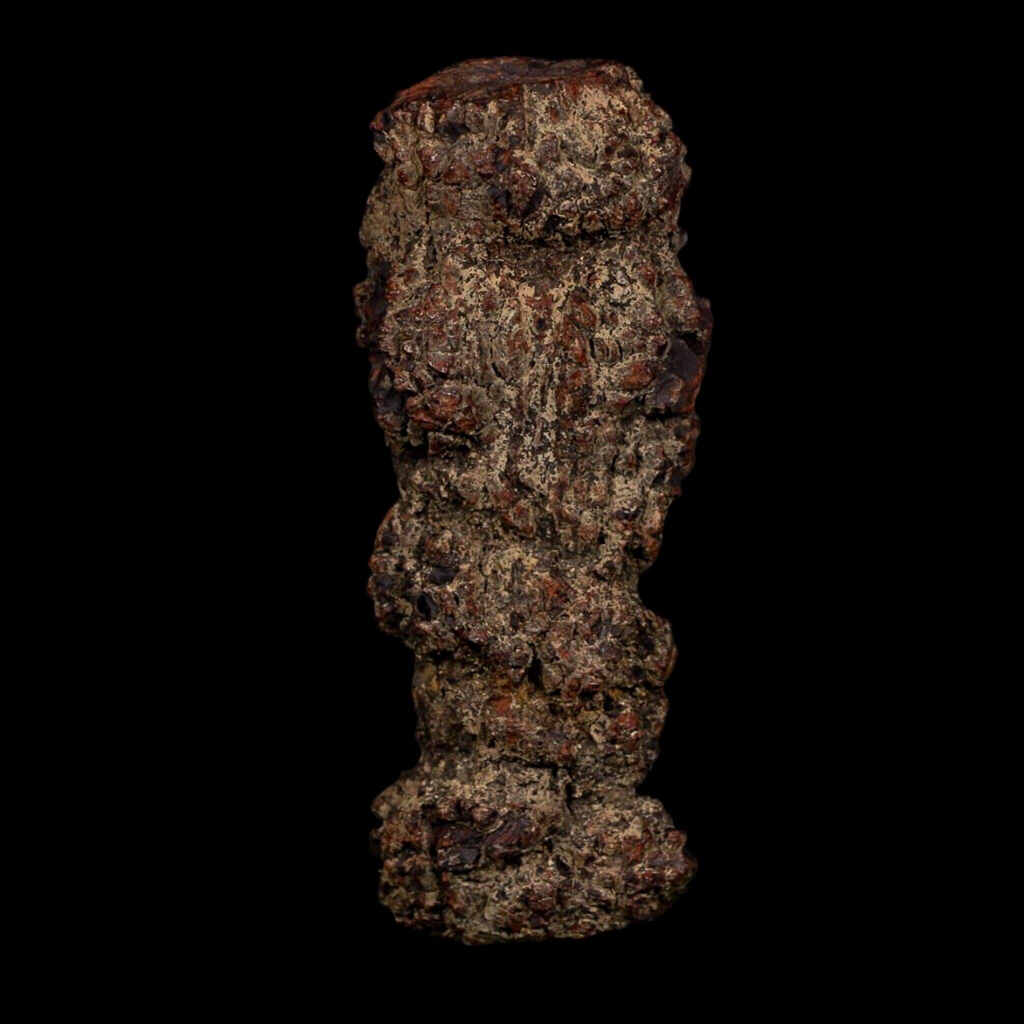 3.5" Prehistoric Coprolite Fossil Specimen Poop Dung Miocene Age Madagascar COA - Fossil Age Minerals