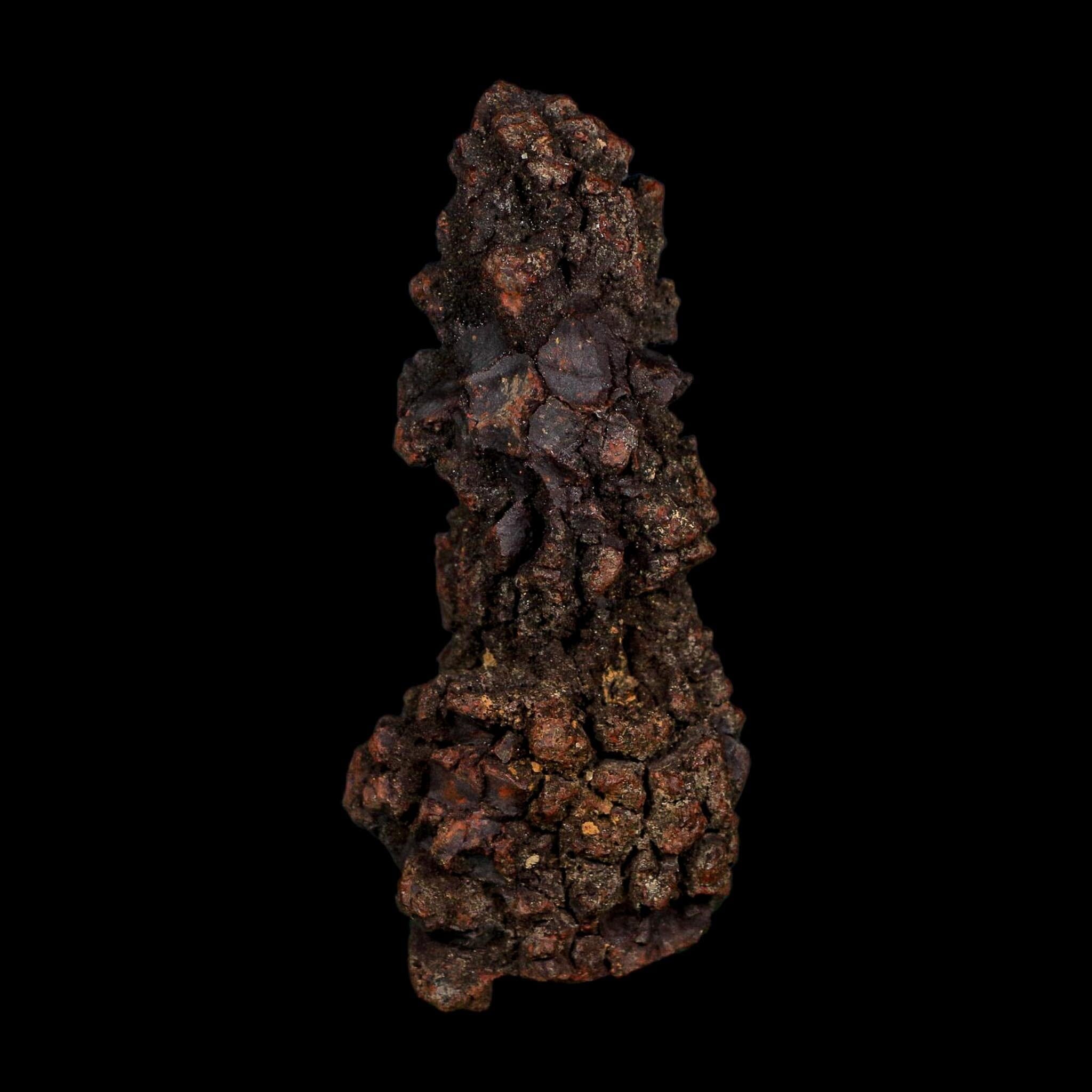 3.2" Prehistoric Coprolite Fossil Specimen Poop Dung Miocene Age Madagascar COA - Fossil Age Minerals