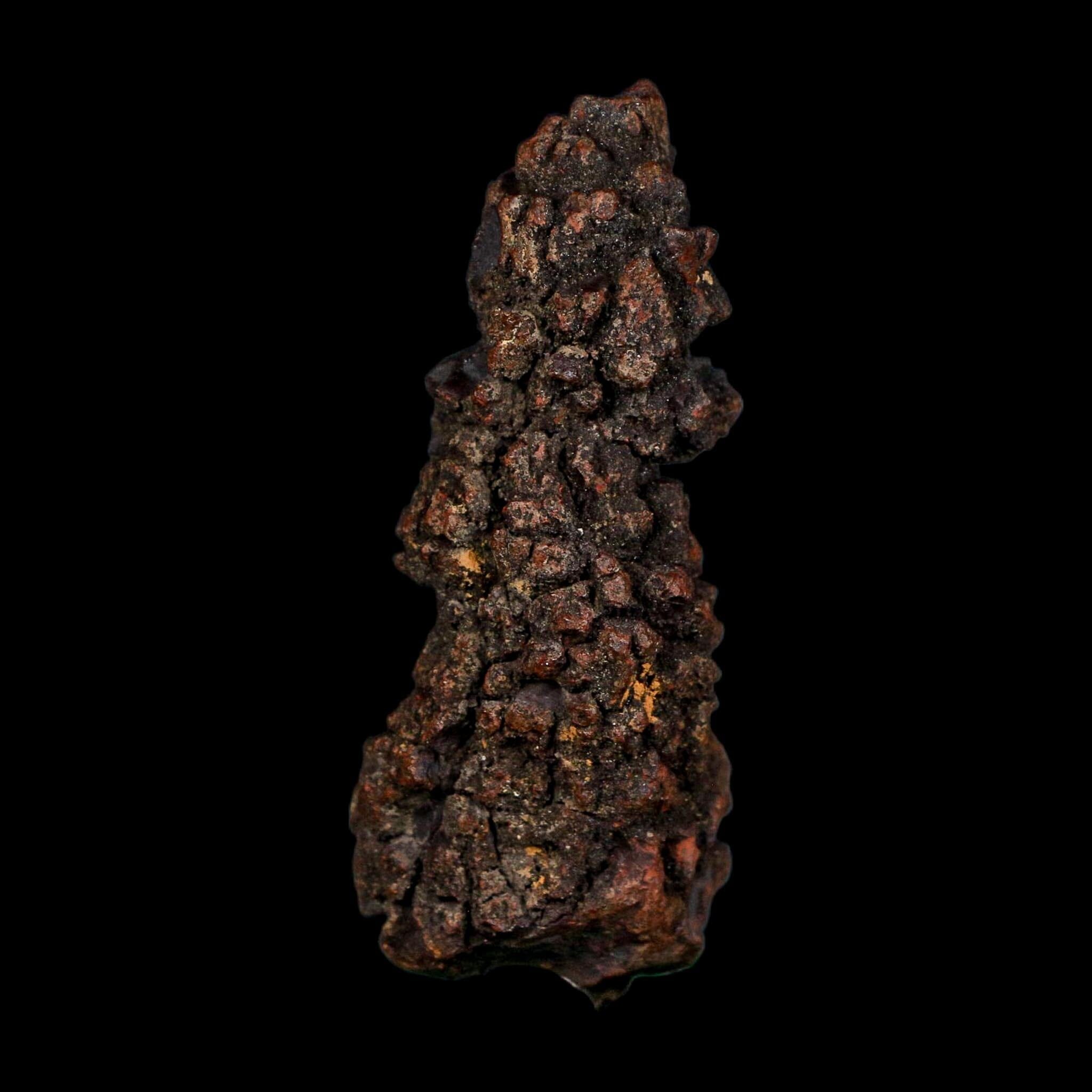 3.2" Prehistoric Coprolite Fossil Specimen Poop Dung Miocene Age Madagascar COA - Fossil Age Minerals