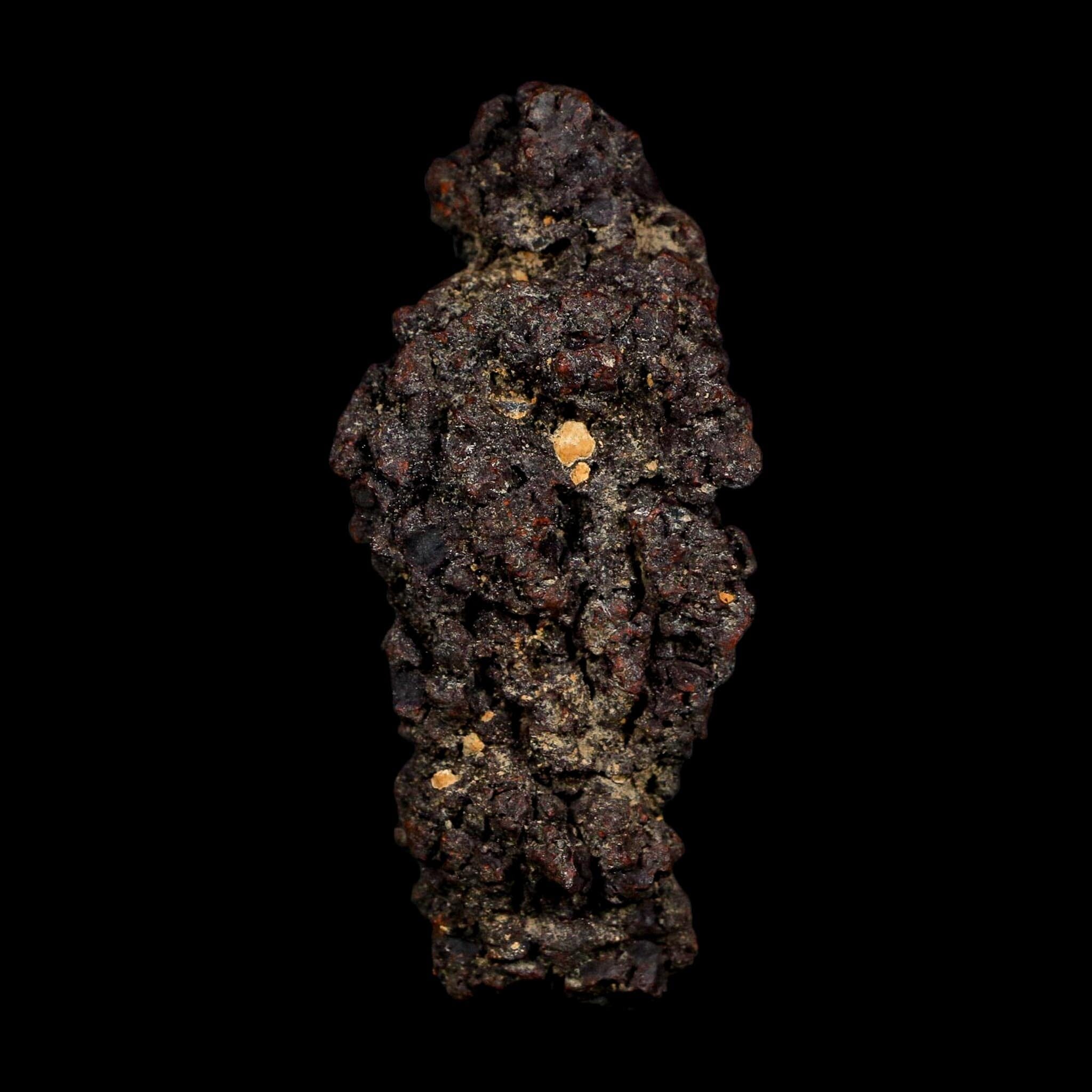 3.1" Prehistoric Coprolite Fossil Specimen Poop Dung Miocene Age Madagascar COA - Fossil Age Minerals