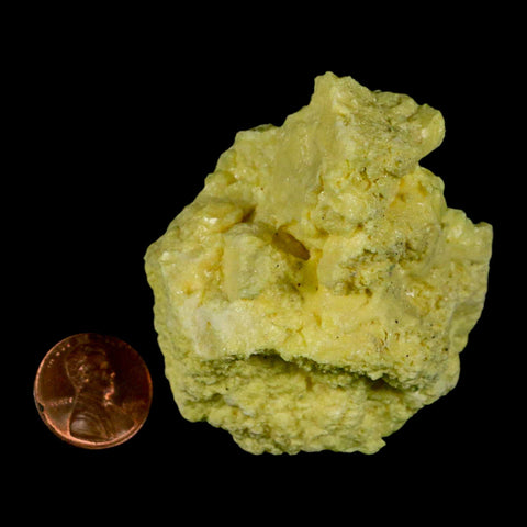 2.4" Rough Bright Yellow Sulfur Crystal Mineral Specimen From Louisiana - Fossil Age Minerals