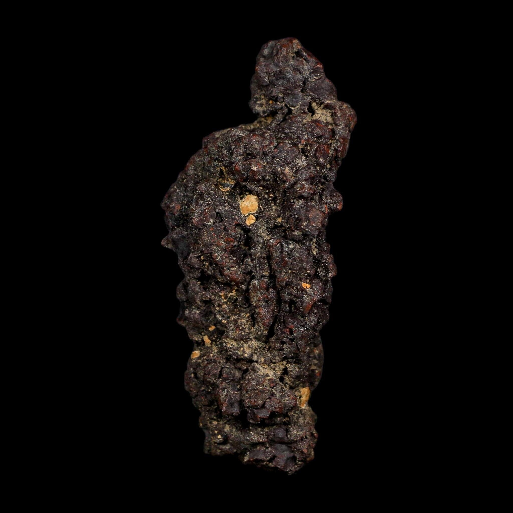 3.1" Prehistoric Coprolite Fossil Specimen Poop Dung Miocene Age Madagascar COA - Fossil Age Minerals