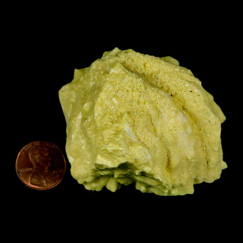 2.3" Rough Bright Yellow Sulfur Crystal Mineral Specimen From Louisiana - Fossil Age Minerals