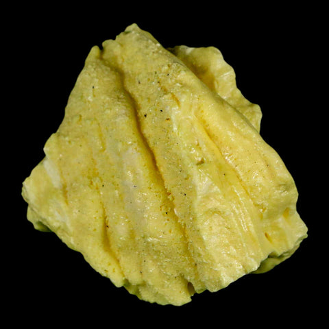 2.3" Rough Bright Yellow Sulfur Crystal Mineral Specimen From Louisiana - Fossil Age Minerals