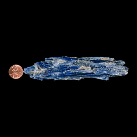 5.3" Rough Natural Sky Blue Kyanite And Quartz Crystal Mineral Specimen Brazil - Fossil Age Minerals