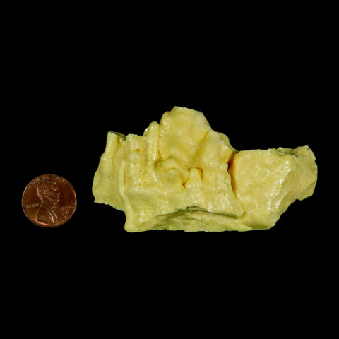 3" Rough Bright Yellow Sulfur Crystal Mineral Specimen From Louisiana - Fossil Age Minerals