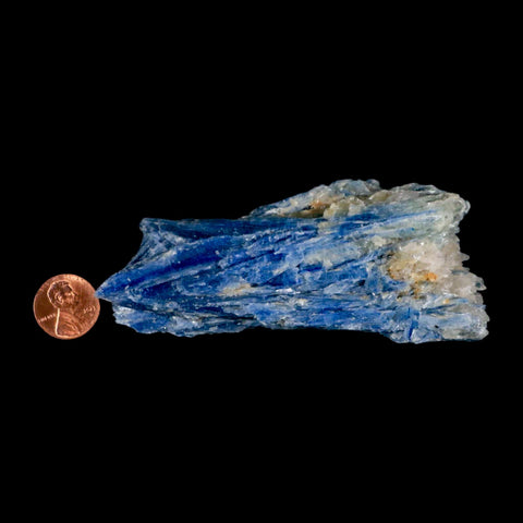 4.3" Rough Natural Sky Blue Kyanite And Quartz Crystal Mineral Specimen Brazil - Fossil Age Minerals