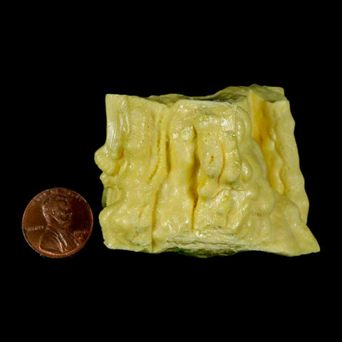 2.5" Rough Bright Yellow Sulfur Crystal Mineral Specimen From Louisiana - Fossil Age Minerals