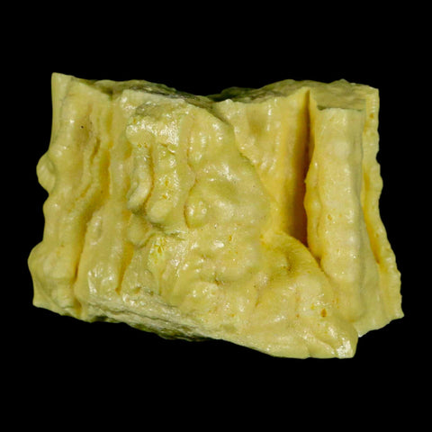 2.5" Rough Bright Yellow Sulfur Crystal Mineral Specimen From Louisiana - Fossil Age Minerals
