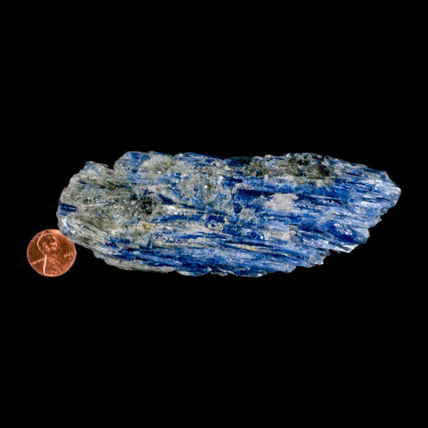 5.1" Rough Natural Sky Blue Kyanite And Quartz Crystal Mineral Specimen Brazil - Fossil Age Minerals