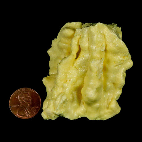 2.3" Rough Bright Yellow Sulfur Crystal Mineral Specimen From Louisiana - Fossil Age Minerals
