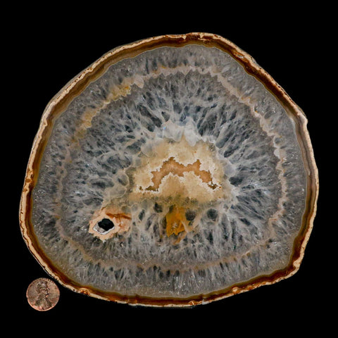6.3" Polished Cut Agate Geode Crystal Quarts Chalcedony Mineral Specimen Stand - Fossil Age Minerals