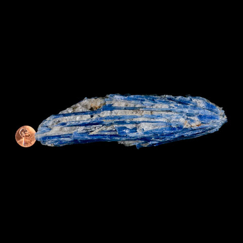 6.2" Rough Natural Sky Blue Kyanite And Quartz Crystal Mineral Specimen Brazil - Fossil Age Minerals