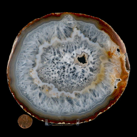 6.1" Polished Cut Agate Geode Crystal Quarts Chalcedony Mineral Specimen Stand - Fossil Age Minerals