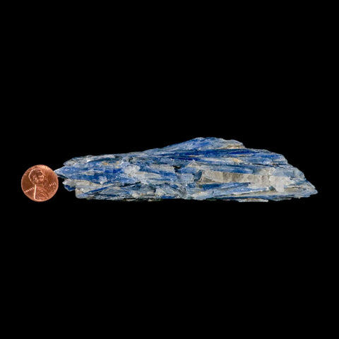 5.1" Rough Natural Sky Blue Kyanite And Quartz Crystal Mineral Specimen Brazil - Fossil Age Minerals