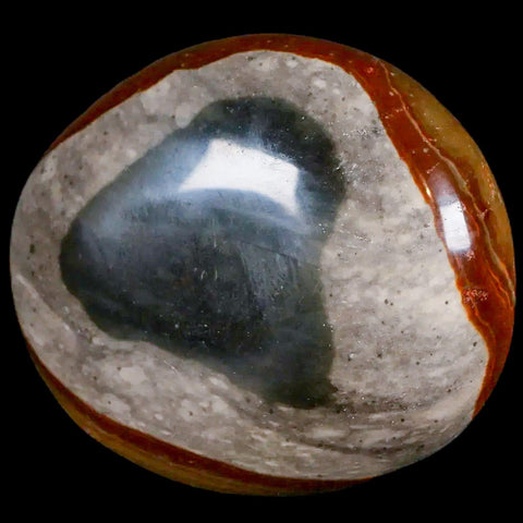2.5" Polychrome Jasper Natural Polished Mineral Palm Stone Madagascar - Fossil Age Minerals