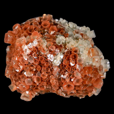 2.4" Aragonite Mineral Two Tone Crystal Cluster Specimen Tazouta Morocco