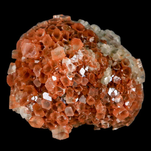2.4" Aragonite Mineral Two Tone Crystal Cluster Specimen Tazouta Morocco - Fossil Age Minerals