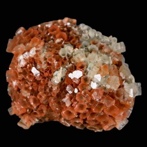 2.4" Aragonite Mineral Two Tone Crystal Cluster Specimen Tazouta Morocco - Fossil Age Minerals